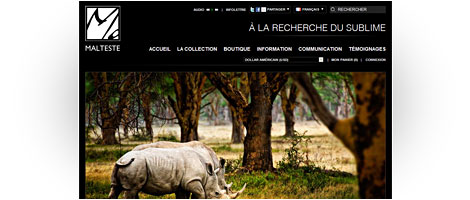 Cliquez ici pour en savoir plus sur le site de MALTESTE
